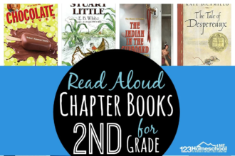 chapter books for 2nd graders